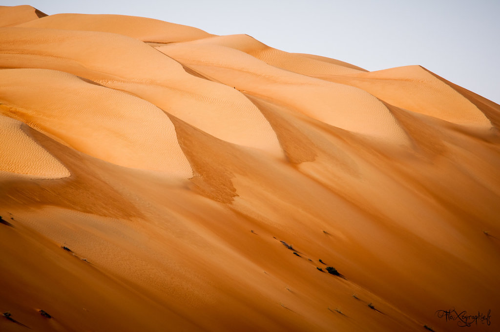 Oman - Wahiba Sands 1