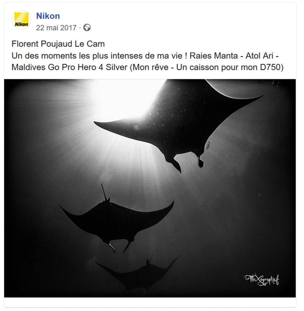 Nikon - Facebook Underwater Photography